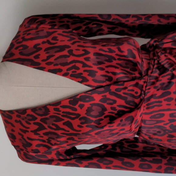 Zara Dress - Picture 2 of 11